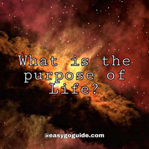 What is the Purpose of Life?